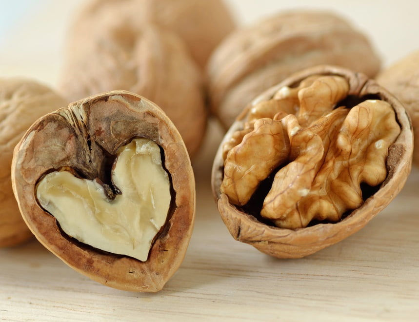 Upaya Penyelamatan Hutan Walnut Terbesar di Dunia